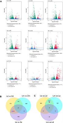 Integrating Transcriptomic and Metabolomic Analyses to Explore the Effect of Color Under Fruit Calyx on That of Fruit Apex in Eggplant (Solanum melongena L.)